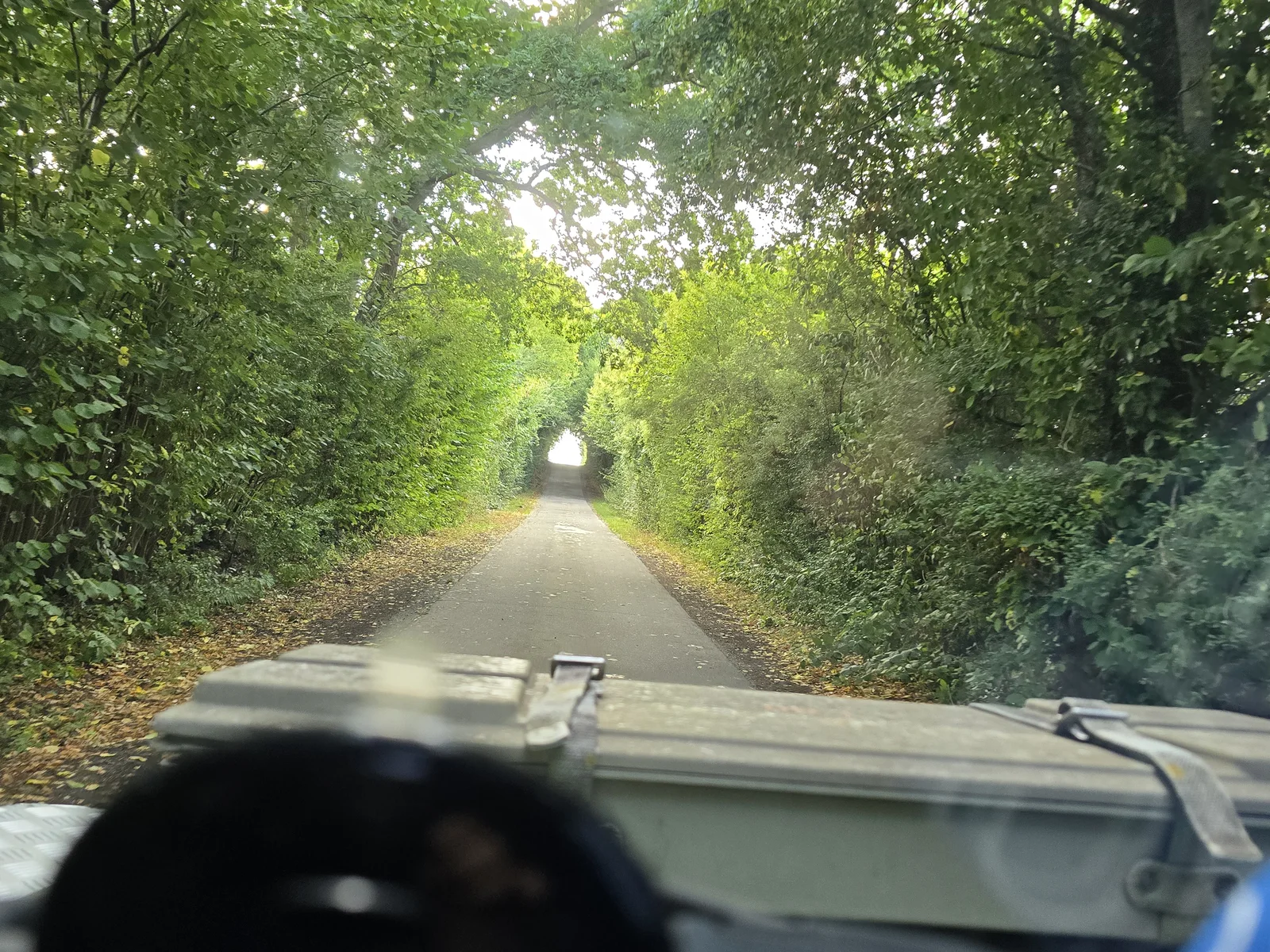 Blick aus meinem Defender auf einer schmalen Roadtrip-Strecke