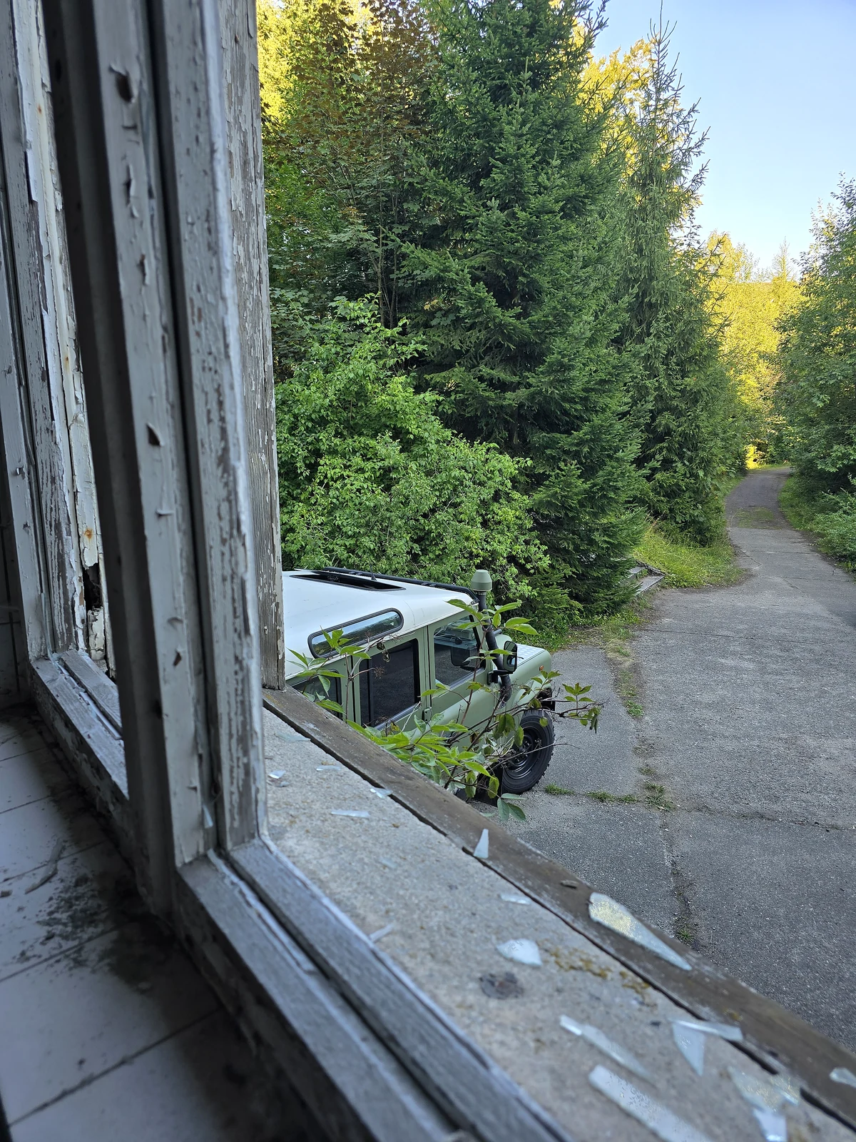 Blick aus einem verwitterten Gebäude auf meinen Defender und einen überwachsenen Weg
